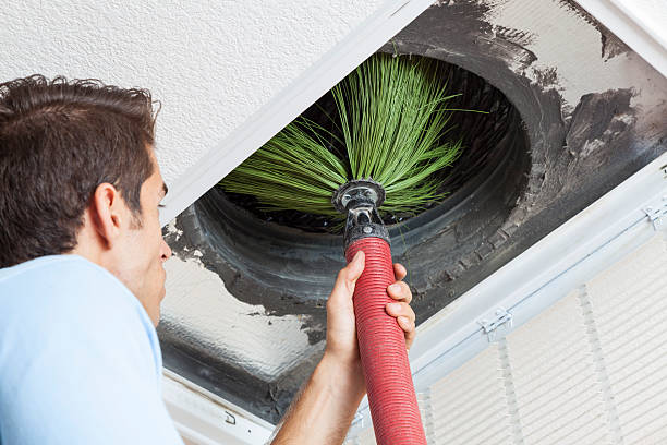 Best Dryer Vent Cleaning Services  in East Norwich, NY